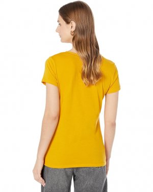 Рубашка U.S. POLO ASSN. Scallop Edge Trim V-Neck Tee Shirt, цвет Dutchess Gold