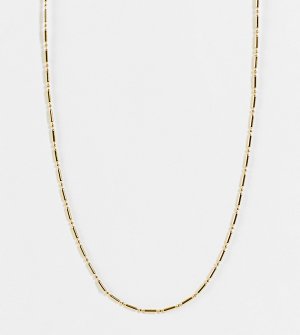 Позолоченное ожерелье-цепочка длиной 15 дюймов с пластинками и бусинами -Золотистый Orelia