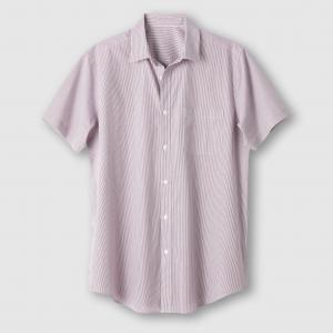 Рубашка с короткими рукавами, рост 1 и 2 (до 187 см) CASTALUNA FOR MEN. Цвет: в клетку серый/синий,в полоску бордовый/белый