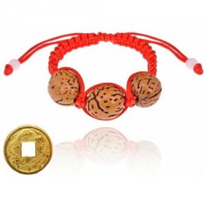 Плетёный браслет из красной нити с персиковыми косточками + монета Денежный талисман ELG