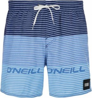 Шорты пляжные мужские ONeill Hm Sunstroke, размер 50-52 O'Neill. Цвет: синий