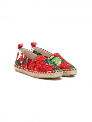 Эспадрильи с цветочным узором Dolce & Gabbana Kids. Цвет: красный