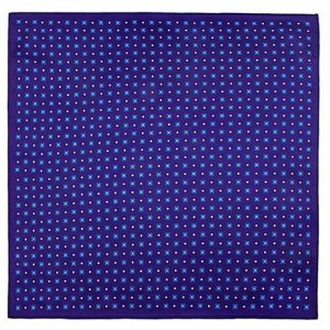 Карманный платок цвет Фиолетовый GREG