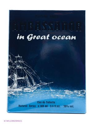 AMBASSADOR IN GREAT OCEAN EDT 100 ML SPRAY PARFUMS GENTY. Цвет: прозрачный