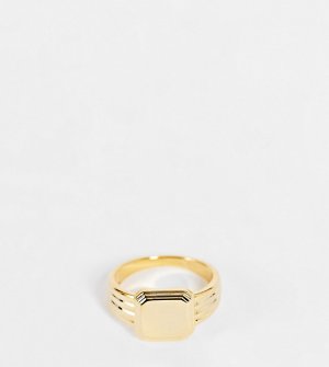 Позолоченное квадратное кольцо-печатка с линейным дизайном -Золотистый Orelia