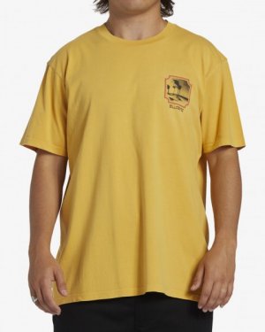 Мужская футболка Reflections Billabong. Цвет: citrus