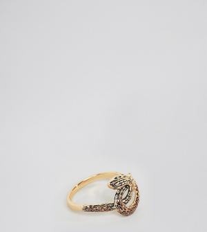 Позолоченное серебряное кольцо с отделкой в виде змеи Rock N Rose 'N'. Цвет: золотой