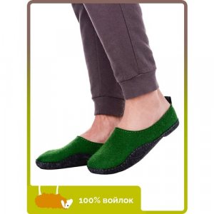Тапочки Хатанга, размер 45, зеленый HOLTY. Цвет: зеленый