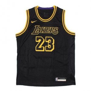 Майка (PS) x NBA LA Lakers Jerseys 'LeBron James 23', черный Nike