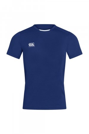 Клубная сухая футболка , синий Canterbury