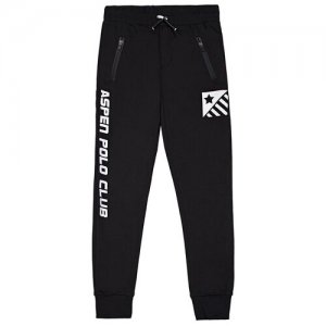 Спортивные брюки Aspen Polo Club для мальчика 1035PF0603 цвет черный 14 лет. Цвет: черный