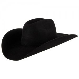 Шляпа , черный Bailey. Цвет: черный