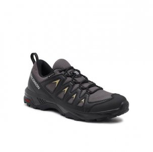 Треккинговая обувь Salomon Trekkingi X Braze GORE-TEX L47180500 Szary