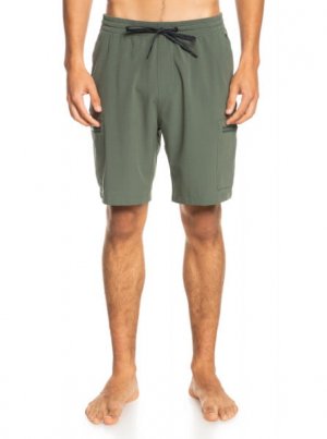 Пляжные шорты Quiksilver Amphibian Elastic Cargo 19 Thyme. Цвет: зеленый