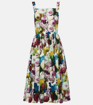 Хлопковое платье миди с цветочным принтом , мультиколор Dolce&Gabbana