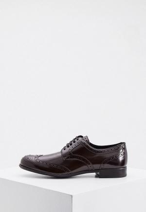Ботинки Dolce&Gabbana. Цвет: коричневый