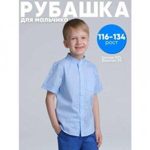 Рубашка , прямой силуэт, на кнопках, короткий рукав, карманы, однотонная, размер 122, серый Дашенька. Цвет: голубой/серый