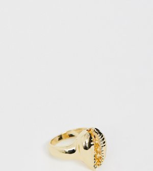 Золотистое кольцо с отделкой в виде ракушки -Золотой DesignB London