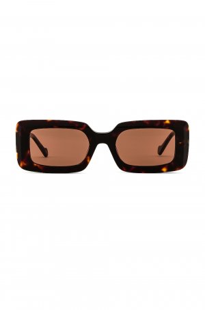 Солнцезащитные очки DEVON WINDSOR Havana, цвет Tortoise