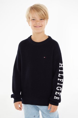 Синий свитер для мальчика Monotype , Tommy Hilfiger