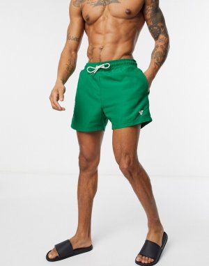 Зеленые пляжные шорты -Зеленый Hummel