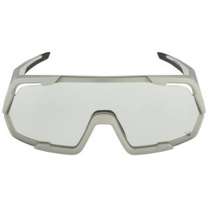 Солнцезащитные очки ALPINA, серый Alpina. Цвет: серый