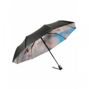 Зонт, черный Frei Regen. Цвет: черный