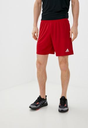 Шорты спортивные adidas ENT22 SHO. Цвет: бордовый