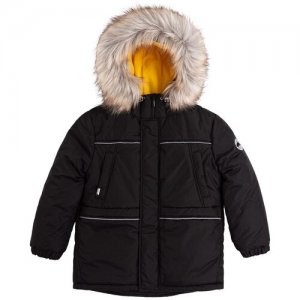 Куртка зимняя для мальчика, bembi, КТ235, 146 р-р Bembi. Цвет: черный