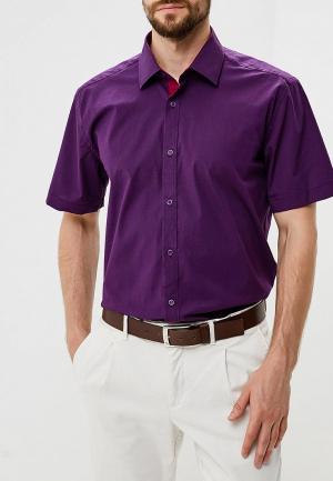 Рубашка Hansgrubber. Цвет: фиолетовый