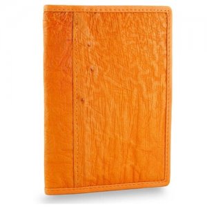 Обложка для паспорта , оранжевый Exotic Leather. Цвет: оранжевый